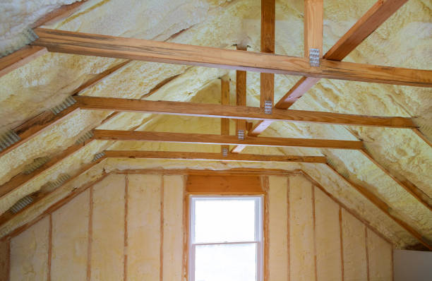 Best Insulation Contractors for Homes  in Waynesville, OH