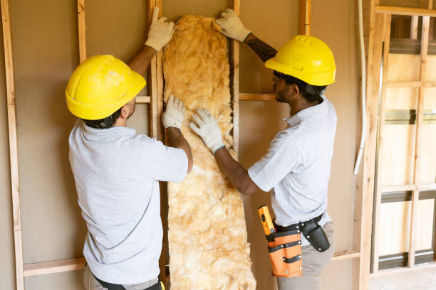 Best Wall Insulation Contractor  in Waynesville, OH